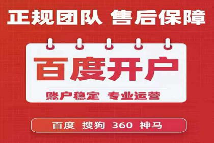 专业SEM托管，案例分析效果显著
